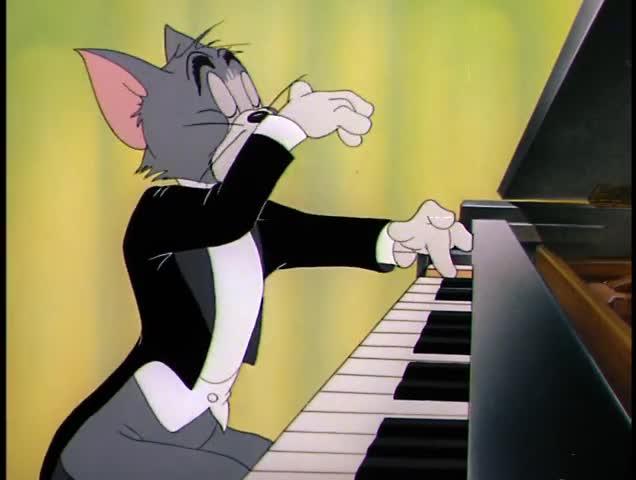 The Cat Concerto