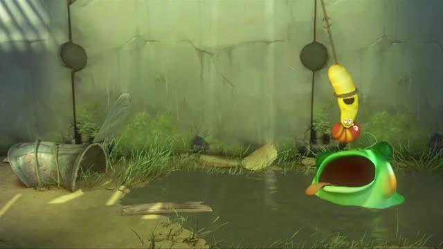Swamp