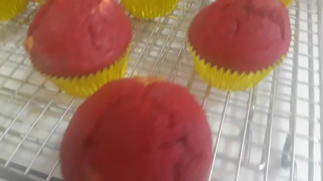 Basic Muffin Recipe