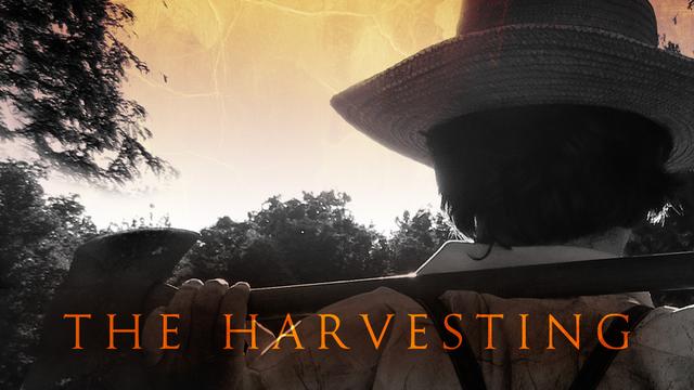 The Harvesting