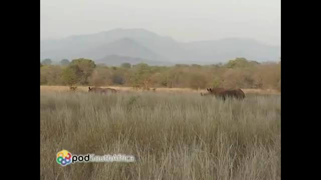 SanWild South Africa