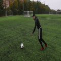 Zing Tutorial